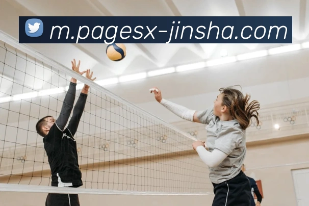 澳门金沙官网平台生态图